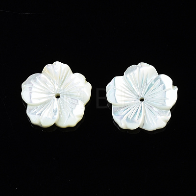 Natural White Shell Mother of Pearl Shell Beads SSHEL-T014-42B-1