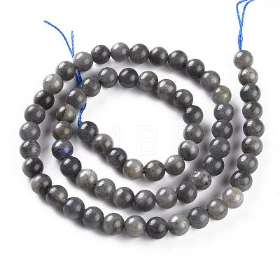 Natural Black Labradorite Beads Strands G-S333-6mm-021B-1