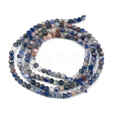 Natural Sodalite Beads Strands X-G-A097-A12-01-1