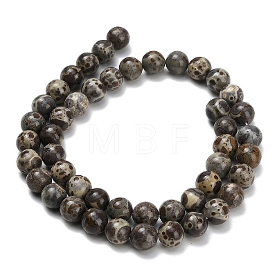 Natural Astroite Jasper Beads Strands G-F814-A01-8mm-1