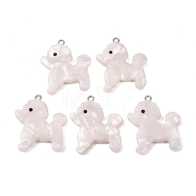 Opaque Cellulose Acetate(Resin) Pendants RESI-B042-02B-1