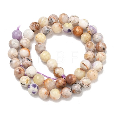 Natural Purple Opal Beads Strands G-L642-B21-8mm-1
