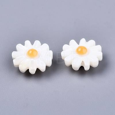 Natural Freshwater Shell Beads SHEL-S266-14A-1