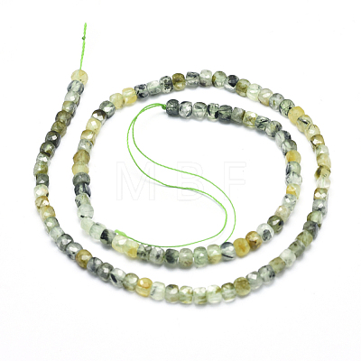 Natural Prehnite Beads Strands G-D0003-B03-1