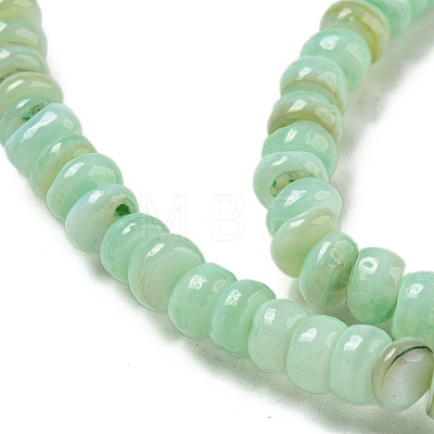 Dyed Natural Freshwater Shell Beads Strands BSHE-G039-07E-1