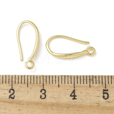 Brass Earring Hooks LS-KK-A236-13G-1