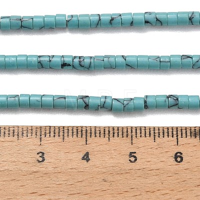 Synthetic Turquoise Beads Strands G-P608-A14-01-1