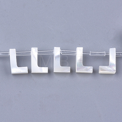 Sea Shell Beads LS-X-SHEL-T012-60L-1