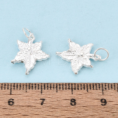 925 Sterling Silver Pendants STER-T009-07S-1