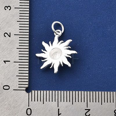 925 Sterling Silver Pendants STER-K188-14S-1