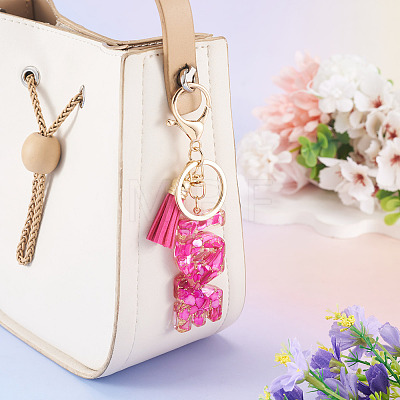 Resin with Alloy Tassel Pendant Keychainss AJEW-TADJ0001-20G-01-1