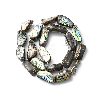 Natural Paua Shell Beads Strands SHEL-F006-01-1