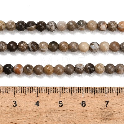 Natural Fossil Coral Beads Strands G-C288-A01-4mm-1