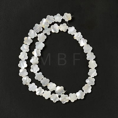 Natural White Shell Beads Strands SHEL-F003-07-1