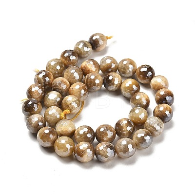 Electroplated Natural Tiger Eye Round Beads Strands G-L598-A04-03-1