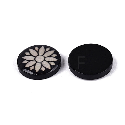 Acrylic & Natural Freshwater Shell Cabochons OACR-N164-06-1