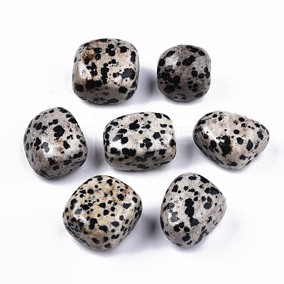 Natural Dalmatian Jasper Beads G-N332-012-1