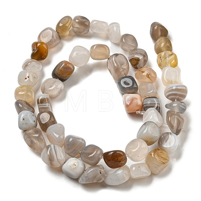 Natural Botswana Agate Beads Strands G-D081-A10-01-1