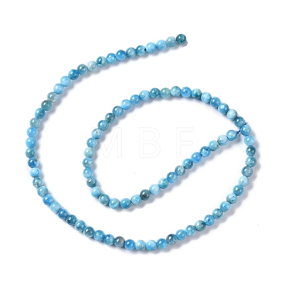 Natural Apatite Beads Strands G-I254-08H-1