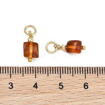 Natural Amber Pendants PALLOY-JF05273-1