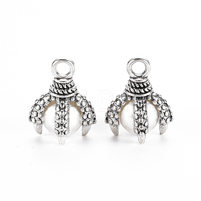 Tibetan Style Alloy Charms PALLOY-S120-249C-RS-1