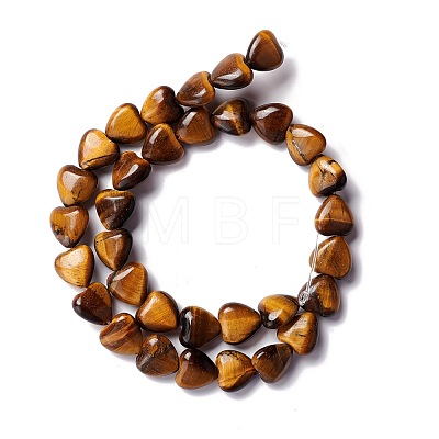 Natural Tiger Eye Beads Strands G-B022-05-1