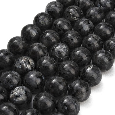 Natural Larvikite Beads Strands GSR20mmC128-1