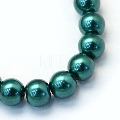 Baking Painted Pearlized Glass Pearl Round Bead Strands HY-Q003-10mm-79-1