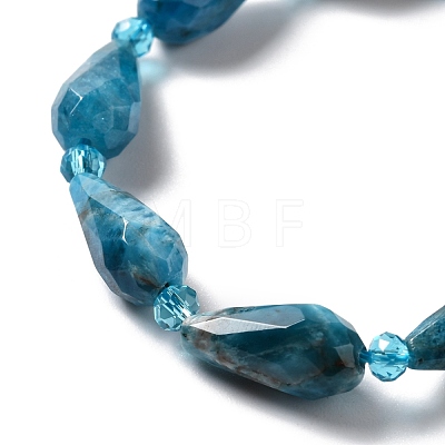 Natural Apatite Beads Strands G-B028-A09-1