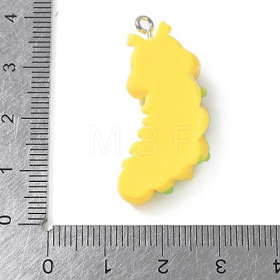 Resin Pendants FIND-A047-01P-02-1