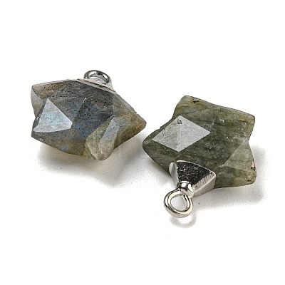 Natural Labradorite Pendants G-P540-01P-06-1