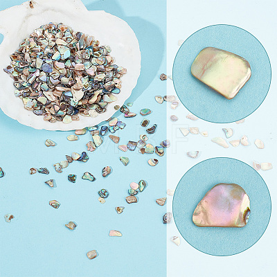 AHADERMAKER 1 Bags Abalone Shell Flakes Cabochons SHEL-GA0001-17A-1