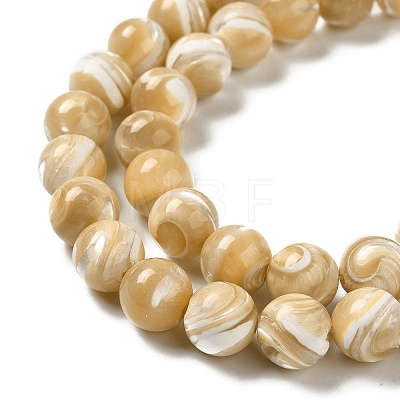 Natural Trochus Shell Beads Strands SHEL-K006-18D-1