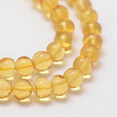 Round Natural Amber Beads Strands G-K077-A6mm-1