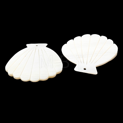 Natural Freshwater Shell Big Pendants SHEL-K006-05-1
