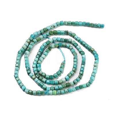 Natural HuBei Turquoise Beads Strands G-H042-B34-01-1