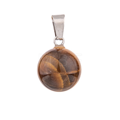 Natural Tiger Eye Charms PW-WG74EB2-06-1