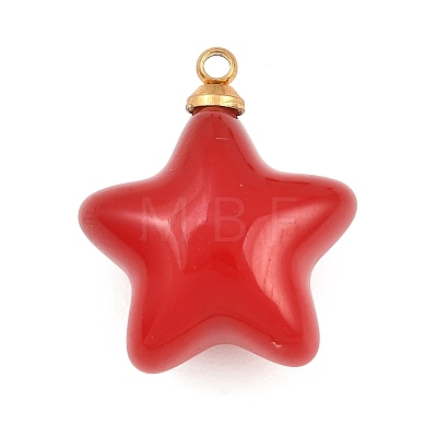 304 Stainless Steel Resin Pendants STAS-K322-10D-02-1
