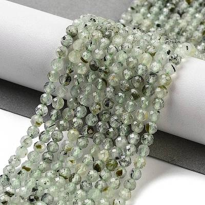 Natural Prehnite Beads Strands G-G140-A19-03-1