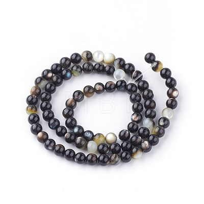 Natural Black Lip Shell Bead Strands X-SSHEL-Q298-02-1