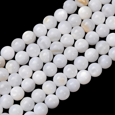 Natural Freshwater Shell Beads Strands SH-CBA2978-07D-03-1