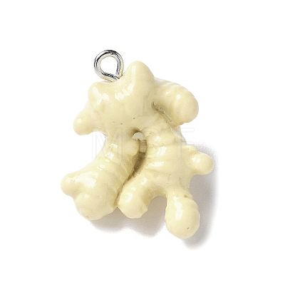 Resin Iron Pendants RESI-D280-04-1