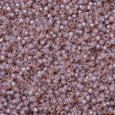 MIYUKI Round Rocailles Beads X-SEED-G007-RR0579-1