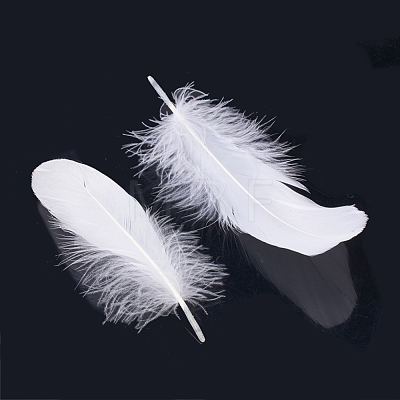 Goose Feather Costume Accessories FIND-T015-30-1