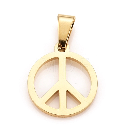 304 Stainless Steel Pendants STAS-F239-13G-A-1