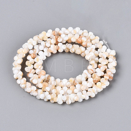 Natural Freshwater Shell Beads Strands SHEL-N038-29A-1
