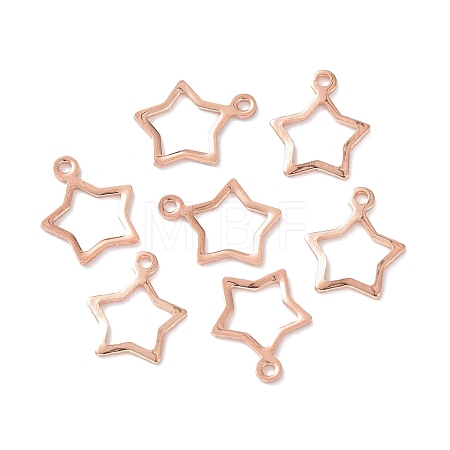 304 Stainless Steel Charms LS-STAS-P227-21RG-1