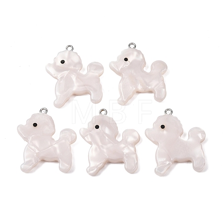 Opaque Cellulose Acetate(Resin) Pendants RESI-B042-02B-1