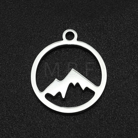 Non-Tarnish 201 Stainless Steel Charms STAS-N090-LA003-1
