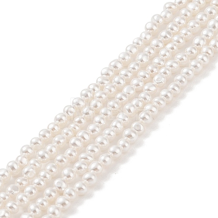 Electroplated Shell Pearl Beads Strands BSHE-C006-05B-1